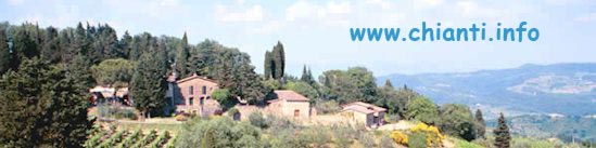 Chianti Classico Info