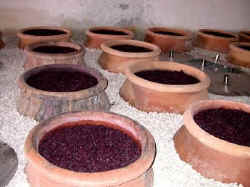 Azienda Agricola Cos Pithos wine