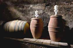 Wine-making in terracotta barriques and amphorae